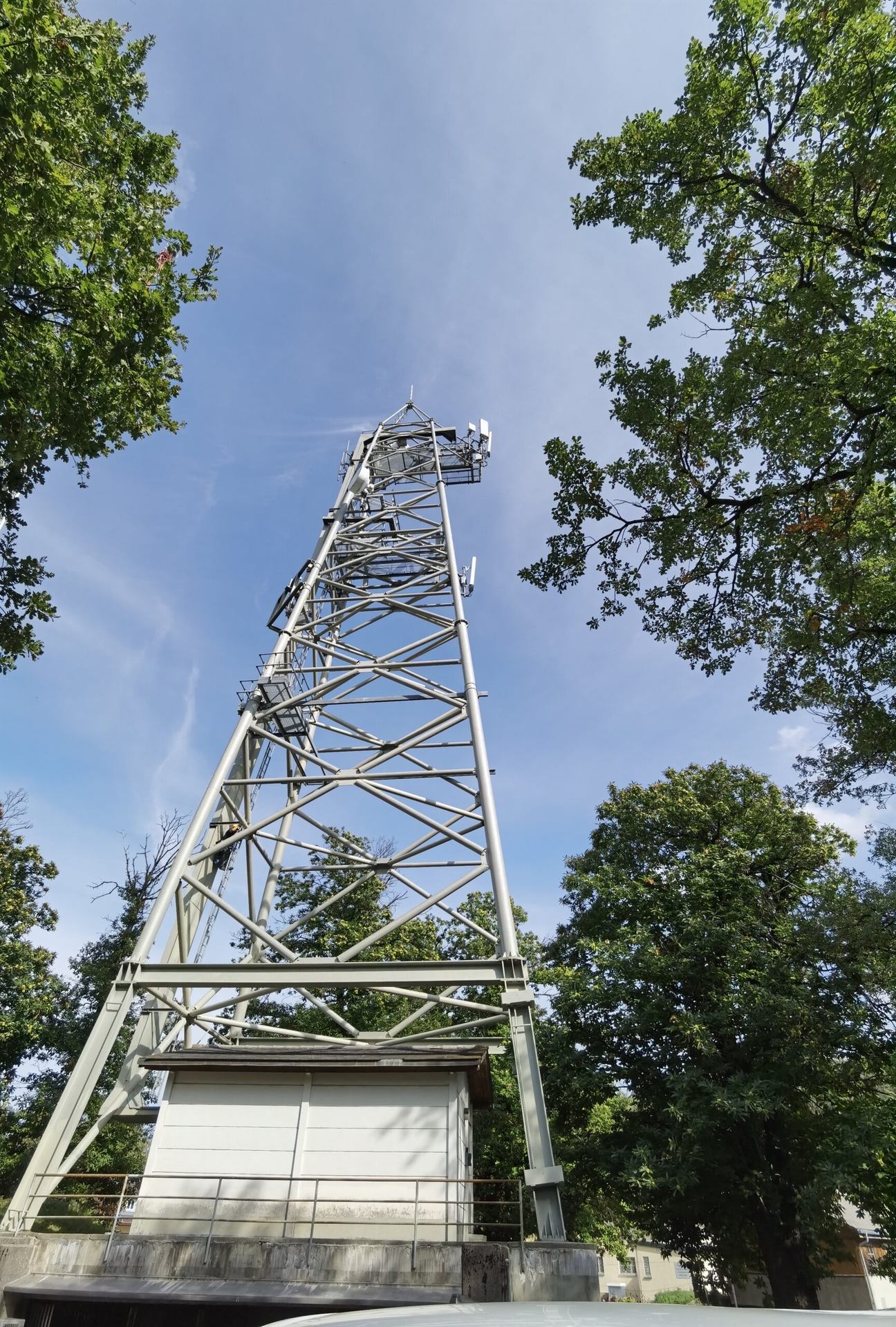 A lattice telecommunications tower seen from below among trees.