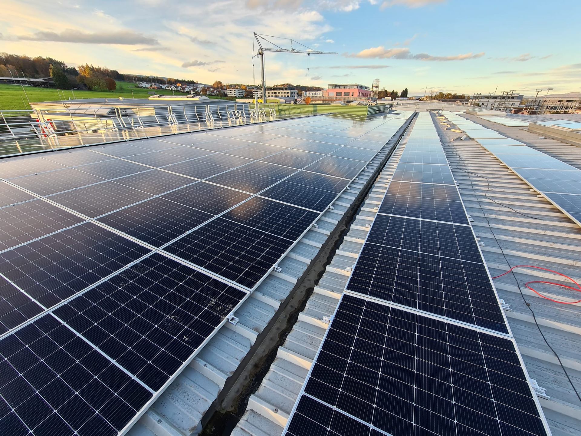 Long solar panel rows on a metal roof in warm light.